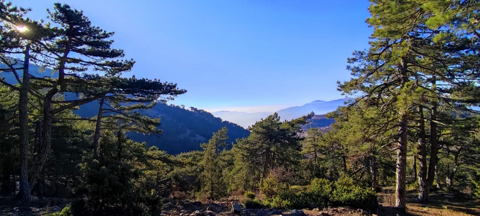 Spil Beşpınar Doğa Yürüyüşü	ve Zirve
